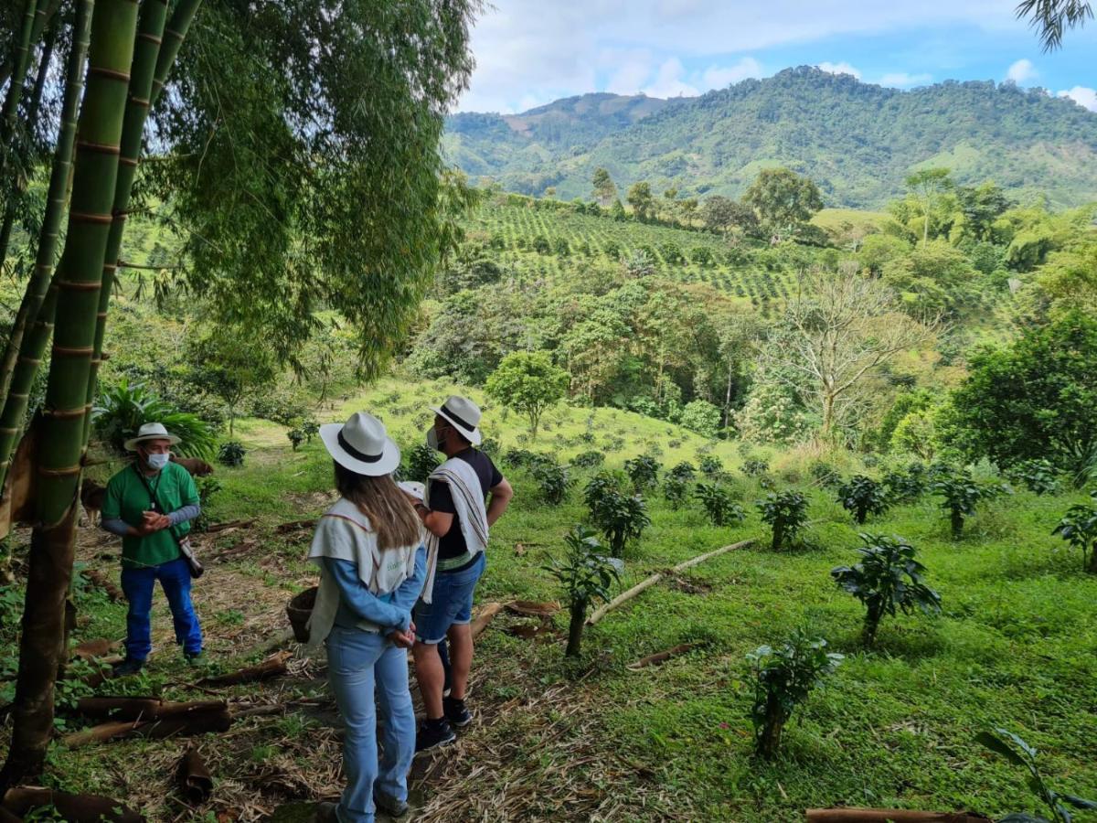 Finca Del Cafe - Casa Typica Santa Rosa de Cabal Buitenkant foto